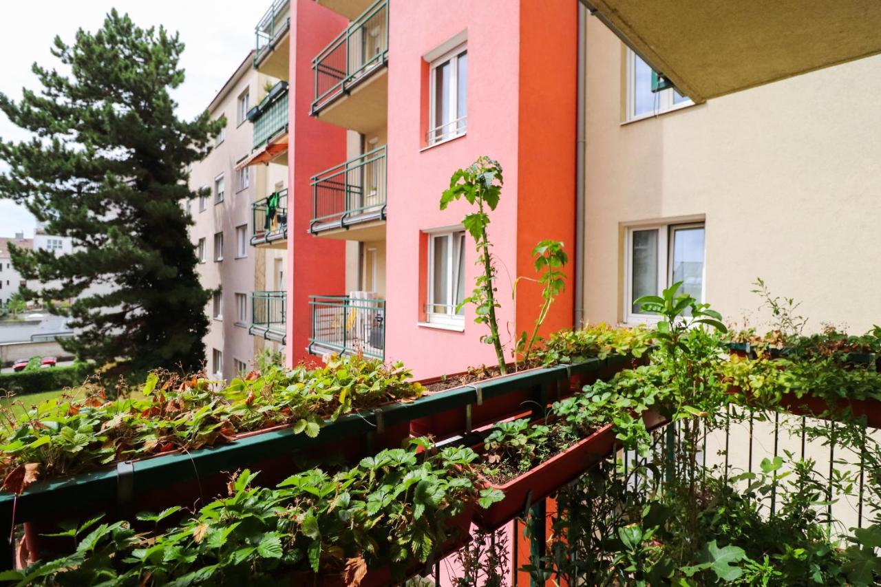 Cozynite Premium Apartment Schoenbrunn 2 Wien Eksteriør billede